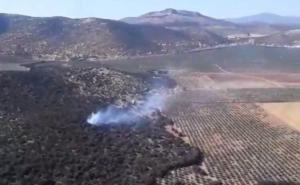 Imagen de archivo de un incendio en una zona de Iznalloz.