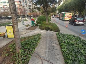 Jardín en la Avenida de la Constitución.