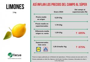 El limón, uno delosproductos analizados por FACUA.