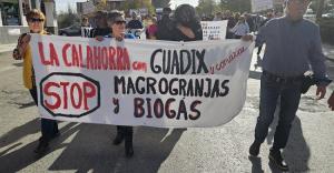 Detalle de la manifestación celebrada este sábado en Guadix.