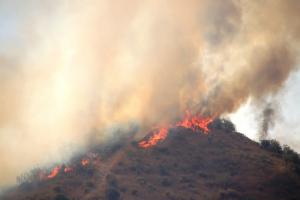 Impactante imagen de las llamas en el límite con Nerja, en la provincia de Málaga. Foto: J.M.De Haro