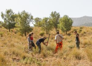 Tareas de siembra en la Sierra de los Guájares