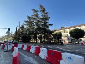 Cedros, en la Avenida de Andalucía.