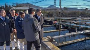 El delegado del Gobierno en Andalucía, Pedro Fernández, visita Piscifactorías Andaluzas, SA.