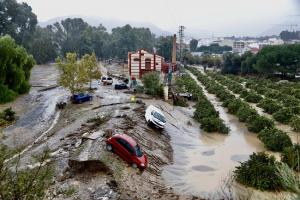 Destrozos, la pasada semana, tras el paso de la DANA por la provincia de Málaga. 