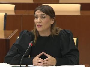 Olga Manzano, en una comisión parlamentaria. 