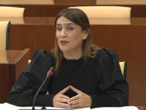 Olga Manzano, en comisión parlamentaria.