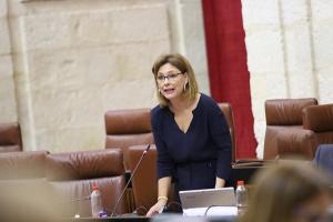 Mar Sánchez en el Parlamento.