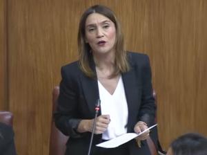 Olga Manzano, este jueves en el Parlamento.