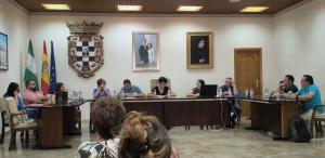 Imagen del pleno en el que la alcaldesa (PP) ha presentado su renuncia.