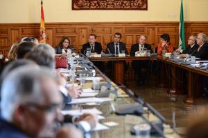 El consejero durante el pleno del TSJA.