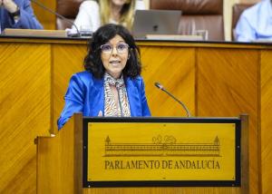María Ángeles Prieto durante su intervención este miércoles en el debate parlamentario.