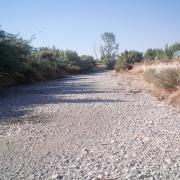 Nos habíamos acostumbrado a ver el río Dílar así, como una rambla, a su paso por la Vega.