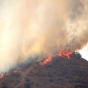 Impactante imagen de las llamas en el límite con Nerja, en la provincia de Málaga. Foto: J.M.De Haro