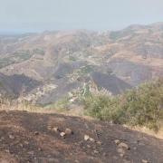 Panorámica del incendio que sitúa sobre el territorio la zona afectada. Foto: J.M. De Haro